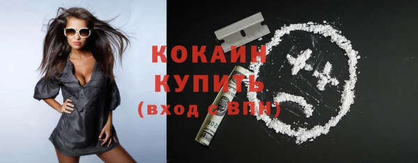 тгк Абаза
