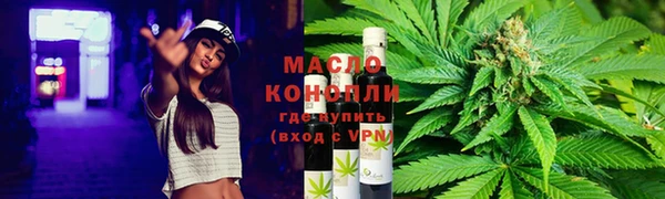 тгк Абаза