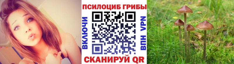 Псилоцибиновые грибы ЛСД  мега вход  Ковдор 